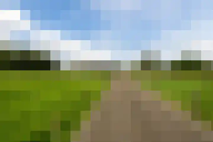 Bleukweg 6 Tilburg thumbnail 63