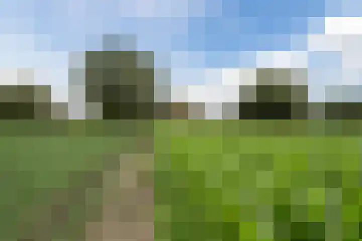 Bleukweg 6 Tilburg thumbnail 64