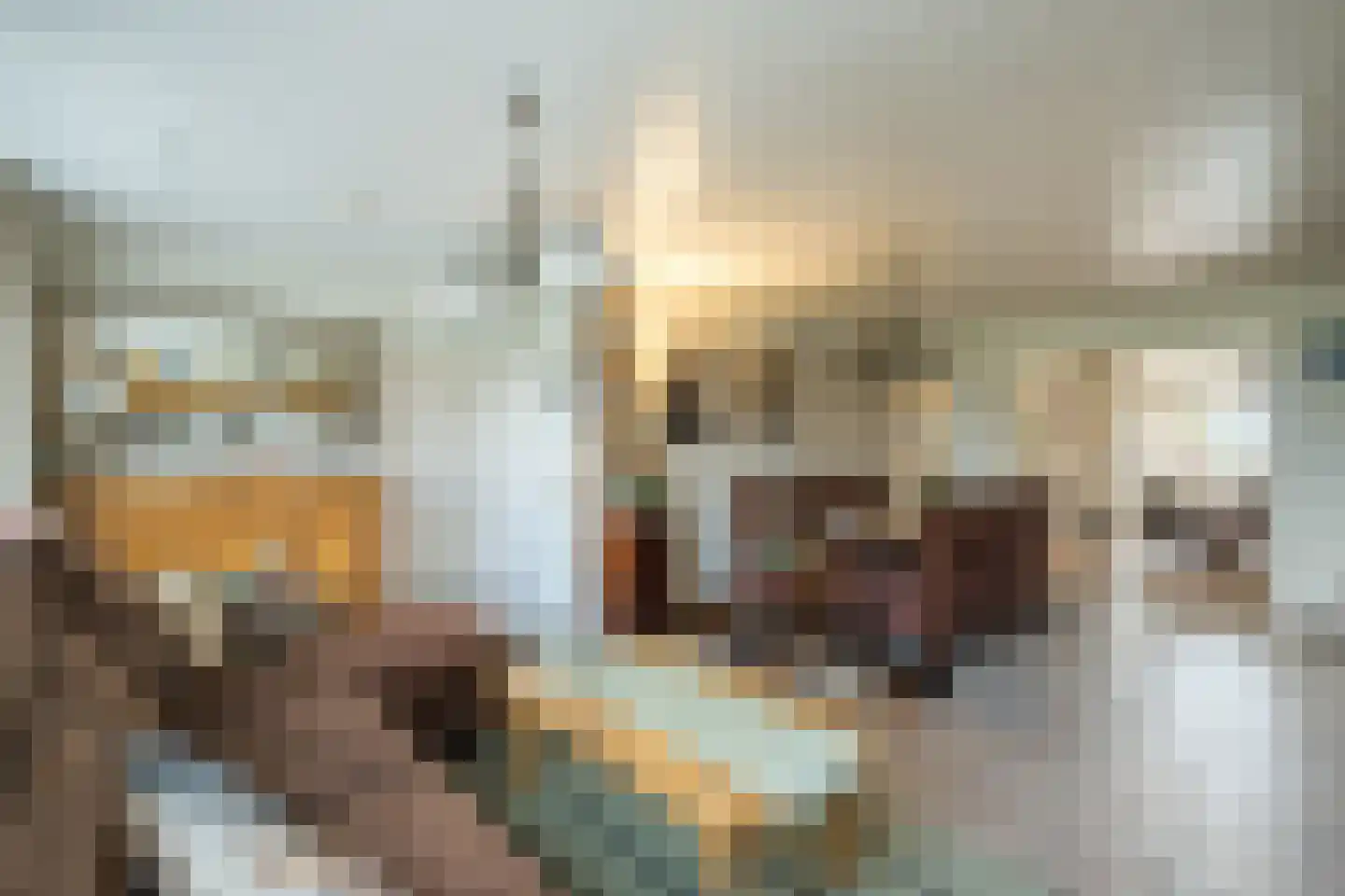 Bleukweg 6 Tilburg thumbnail 8