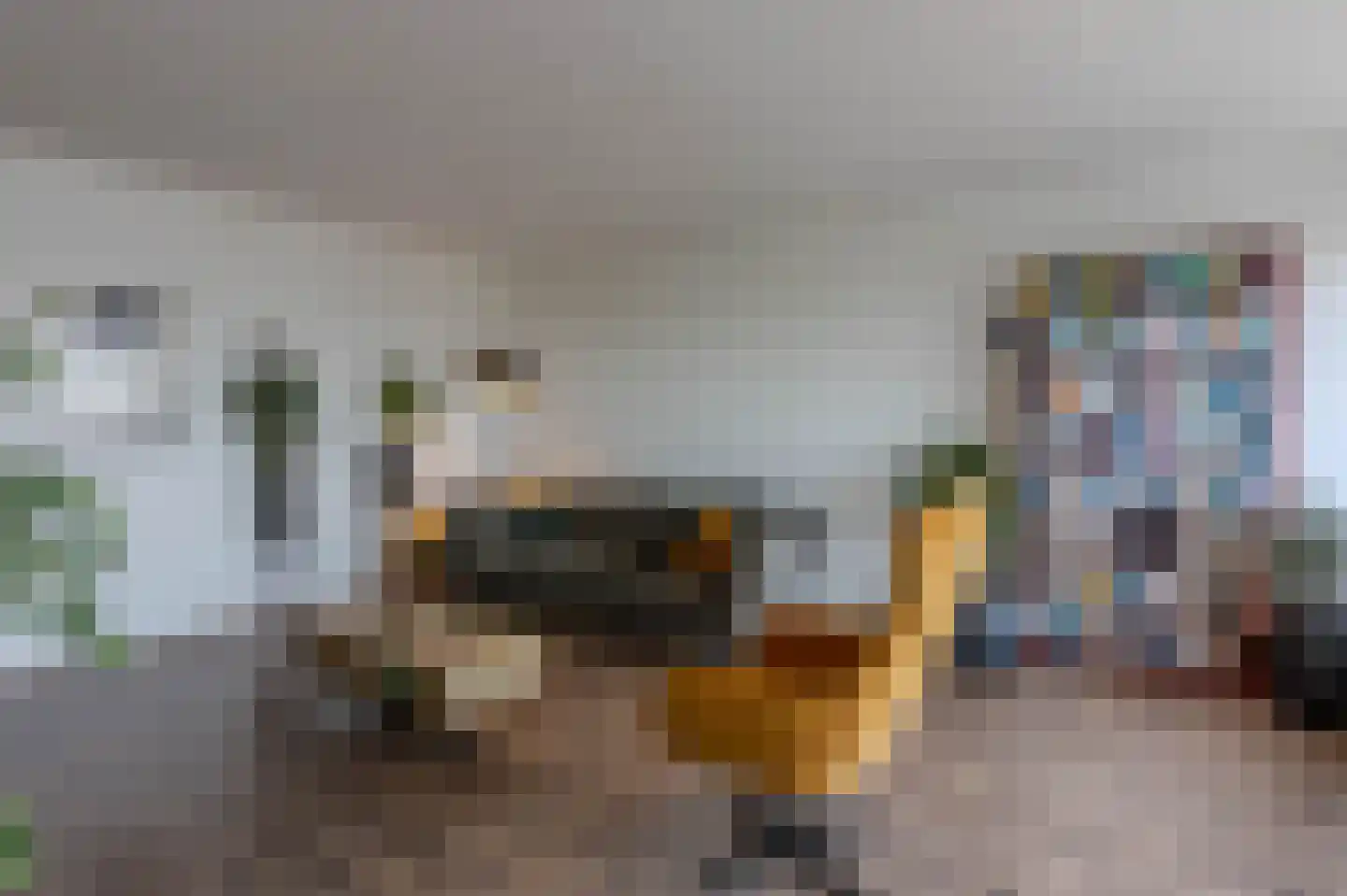 Bleulandweg 308 Gouda thumbnail 17