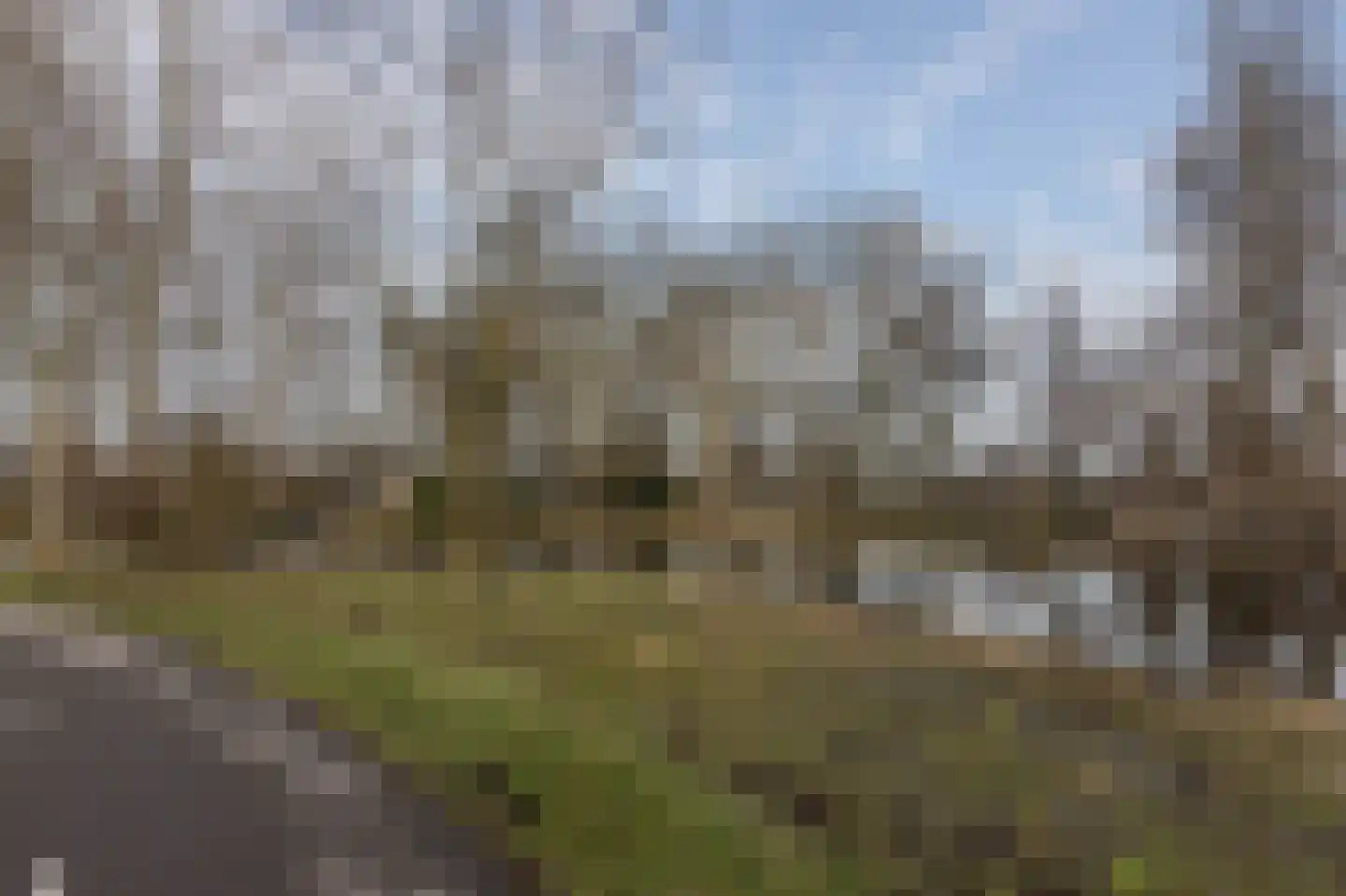 Bleulandweg 308 Gouda thumbnail 37