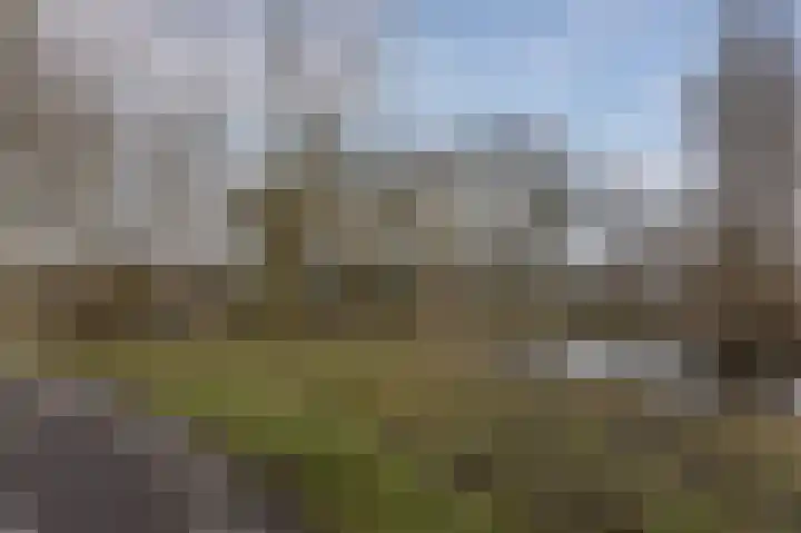 Bleulandweg 308 Gouda thumbnail 37