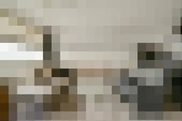 Bleulandweg 310 Gouda thumbnail 11