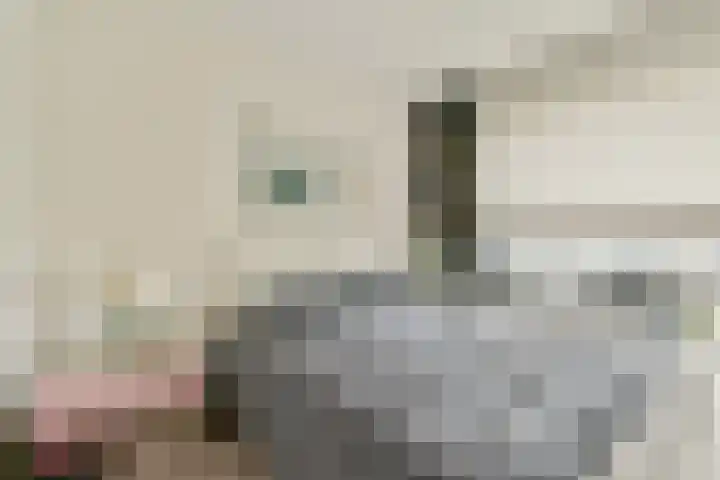 Bleulandweg 310 Gouda thumbnail 15