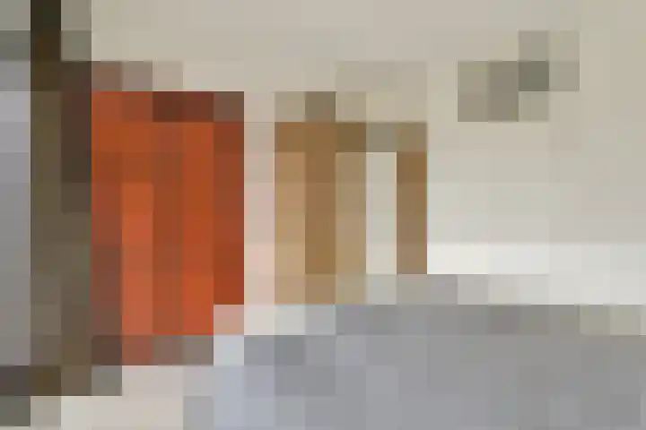 Bleulandweg 310 Gouda thumbnail 17