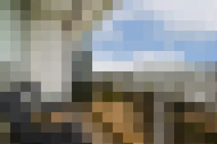 Bleulandweg 310 Gouda thumbnail 18