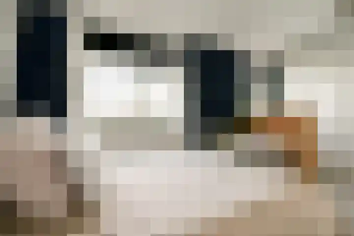 Bleulandweg 310 Gouda thumbnail 23