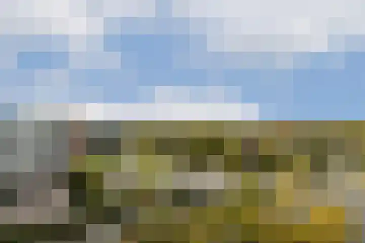 Bleulandweg 310 Gouda thumbnail 4