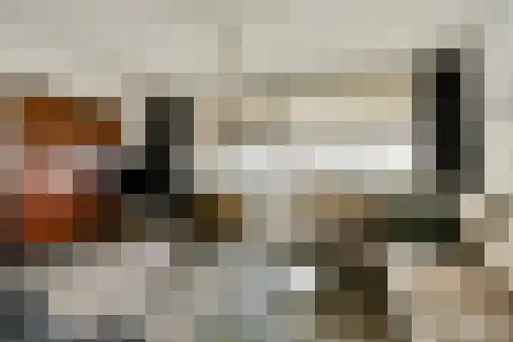 Bleulandweg 310 Gouda thumbnail 8