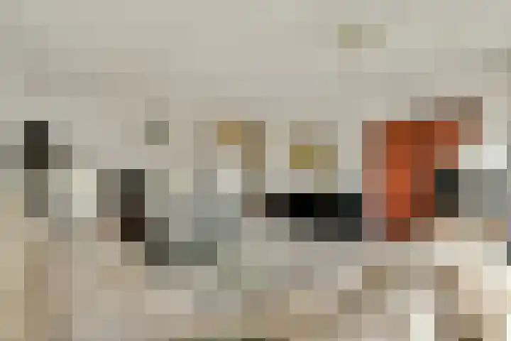 Bleulandweg 310 Gouda thumbnail 9