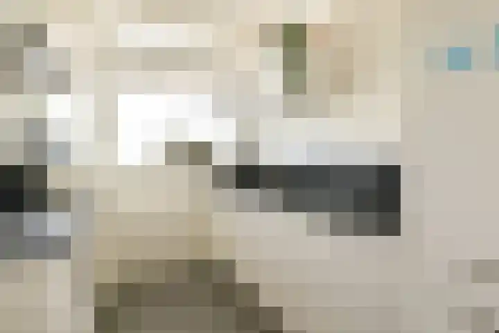 Bleulandweg 350 Gouda thumbnail 12