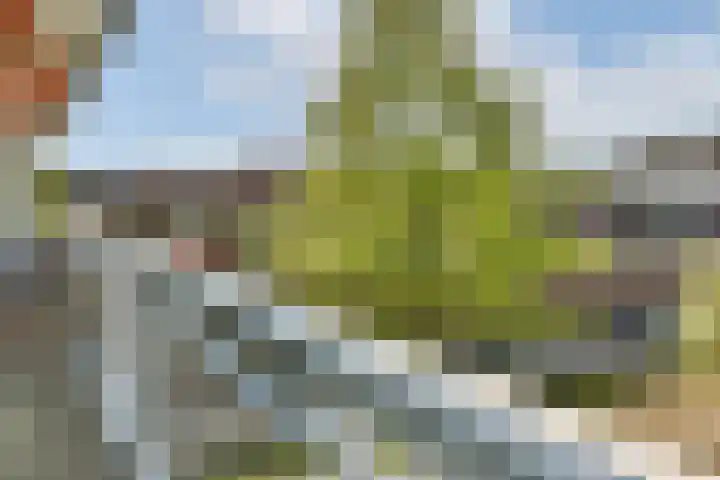 Bleulandweg 350 Gouda thumbnail 18
