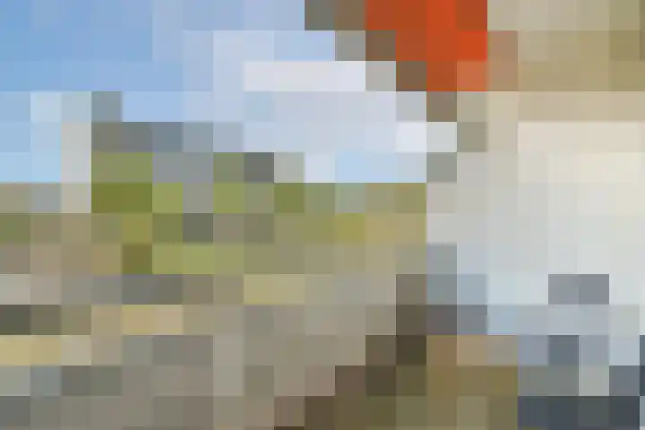 Bleulandweg 350 Gouda thumbnail 20