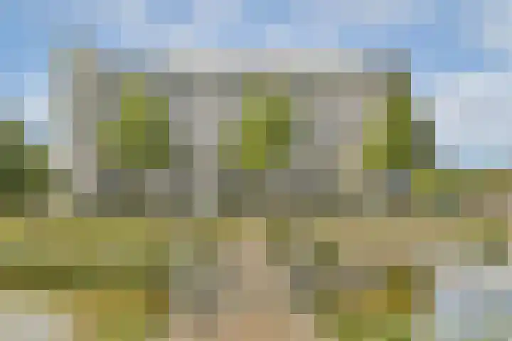 Bleulandweg 350 Gouda thumbnail 29