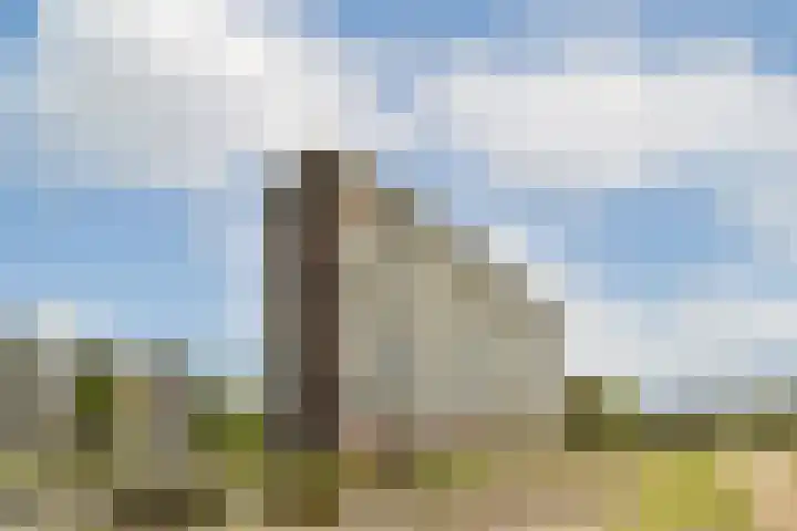 Bleulandweg 350 Gouda thumbnail 30