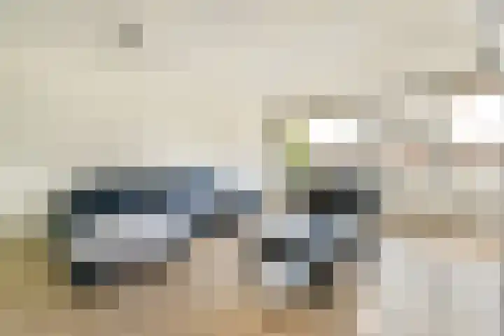 Bleulandweg 350 Gouda thumbnail 8