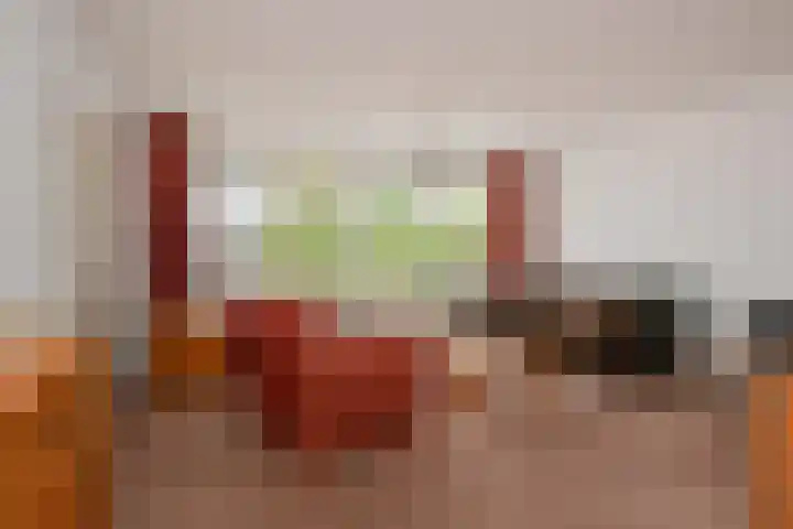 Bleulandweg 38 Gouda thumbnail 12