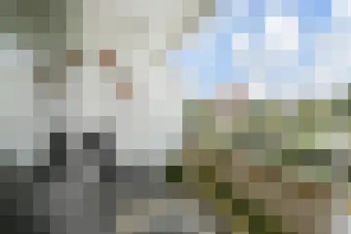 Bleulandweg 38 Gouda thumbnail 30