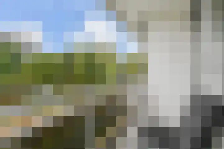 Bleulandweg 38 Gouda thumbnail 31