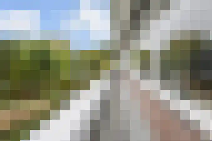 Bleulandweg 38 Gouda thumbnail 32