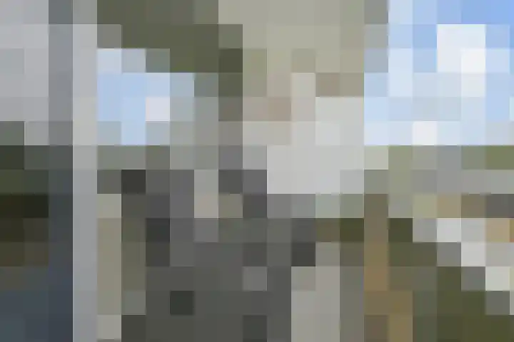 Bleulandweg 38 Gouda thumbnail 33