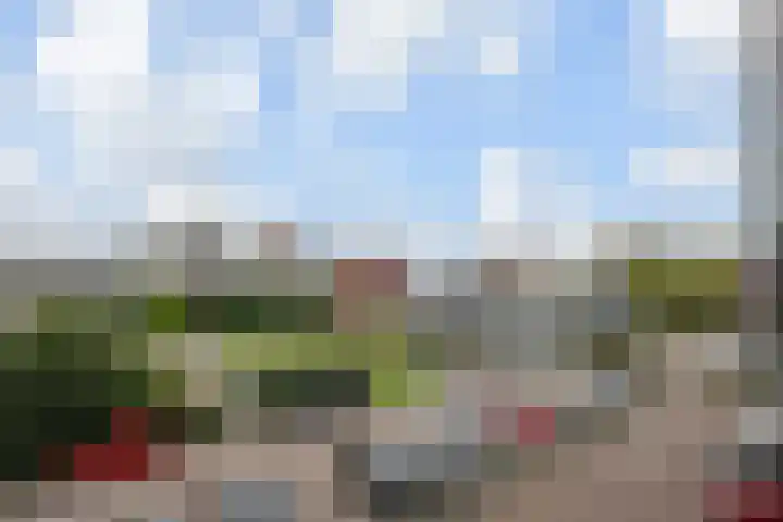 Bleulandweg 38 Gouda thumbnail 37