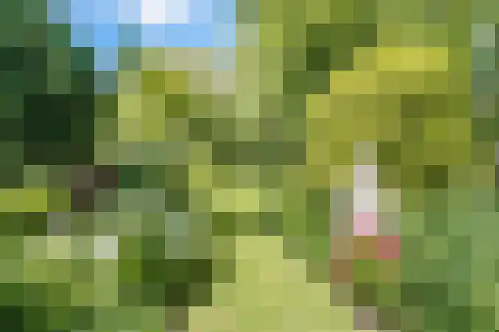 Bleumerweg 6 Castricum thumbnail 59