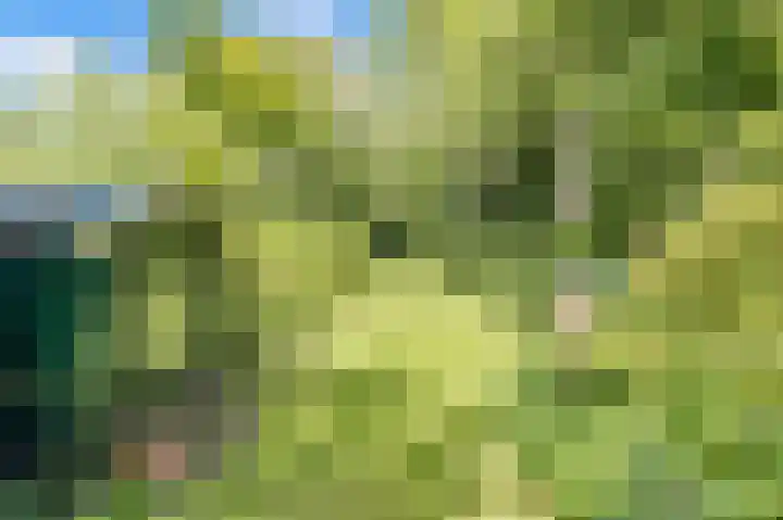 Bleumerweg 6 Castricum thumbnail 60