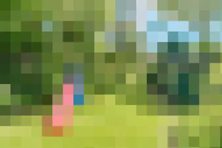 Bleumerweg 6 Castricum thumbnail 62