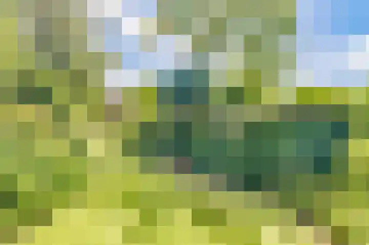 Bleumerweg 6 Castricum thumbnail 63
