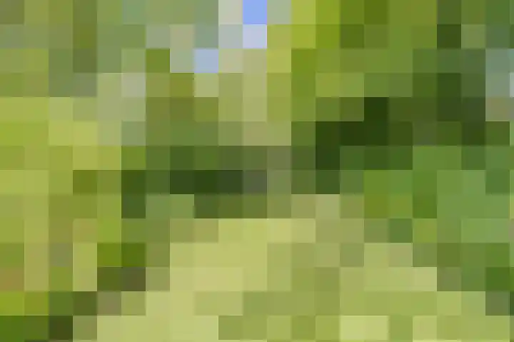Bleumerweg 6 Castricum thumbnail 65