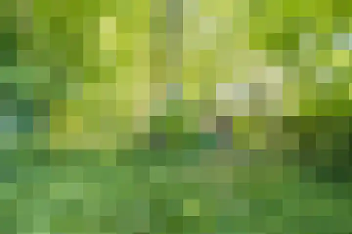 Bleumerweg 6 Castricum thumbnail 69