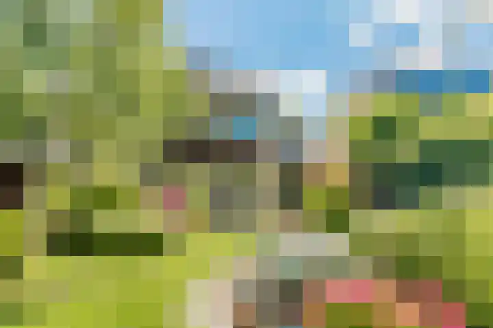 Bleumerweg 6 Castricum thumbnail 72