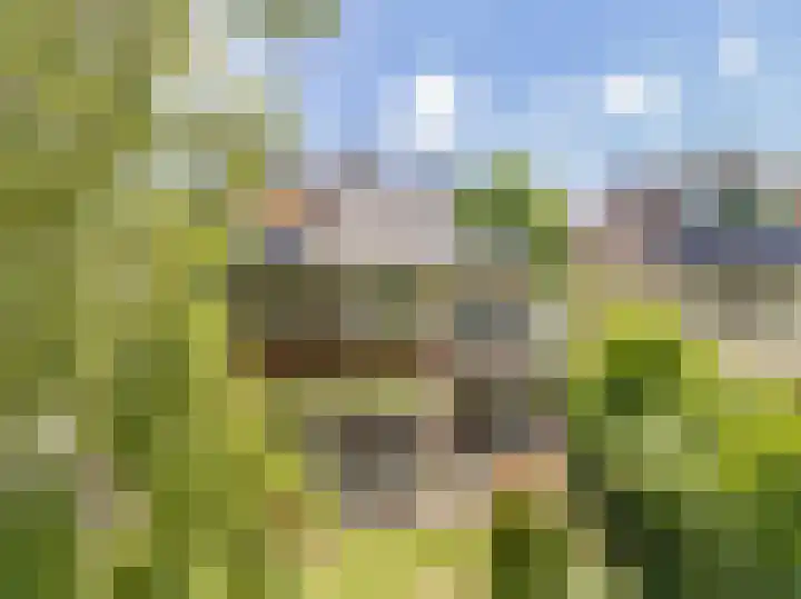 Bleumerweg 6 Castricum thumbnail 74