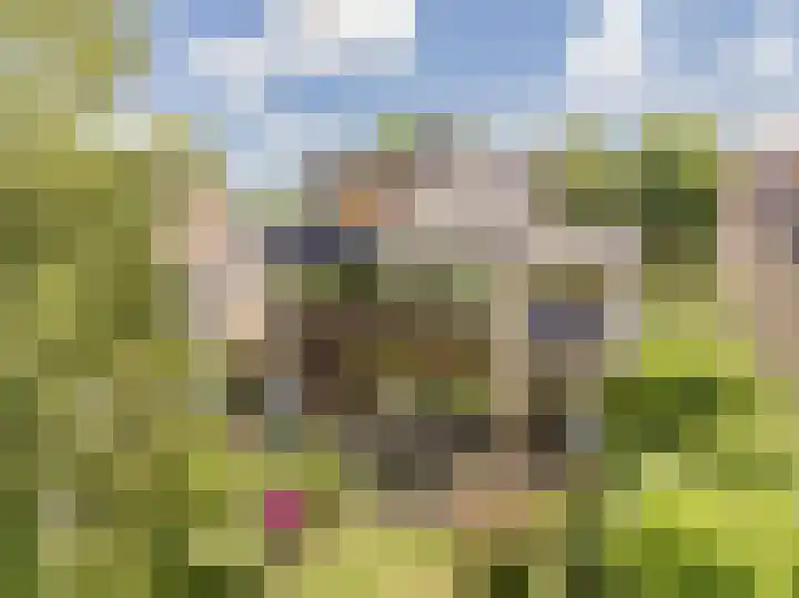 Bleumerweg 6 Castricum thumbnail 75