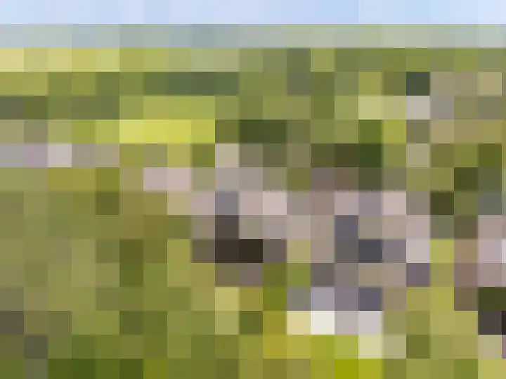 Bleumerweg 6 Castricum thumbnail 84