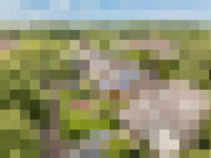 Bleumerweg 6 Castricum thumbnail 86