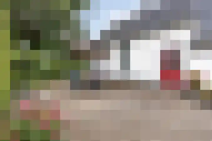 Bleuminkmaatweg 3 Vorden thumbnail 10