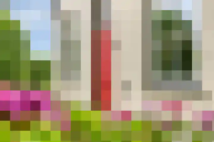 Bleuminkmaatweg 3 Vorden thumbnail 11