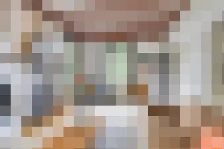 Bleuminkmaatweg 3 Vorden thumbnail 15