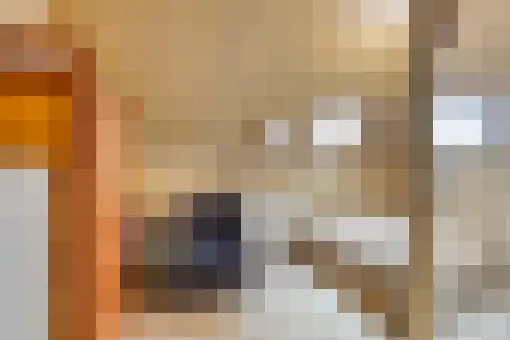 Bleuminkmaatweg 3 Vorden thumbnail 25