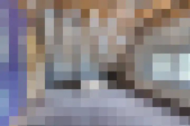 Bleuminkmaatweg 3 Vorden thumbnail 28
