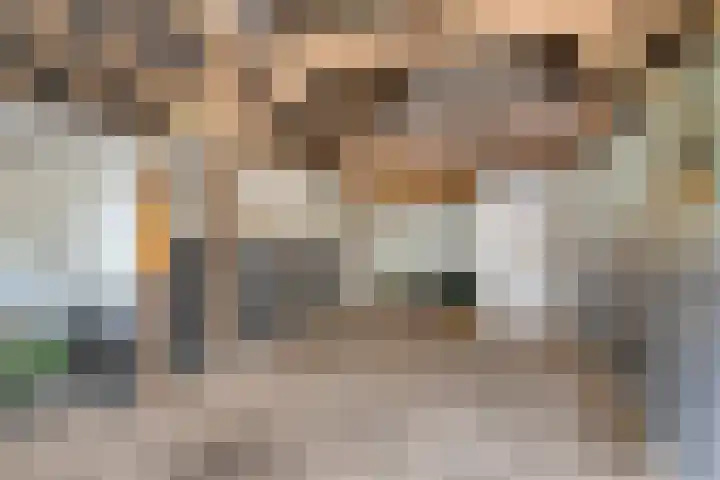 Bleuminkmaatweg 3 Vorden thumbnail 29