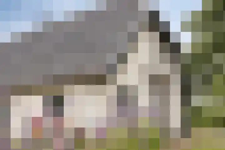 Bleuminkmaatweg 3 Vorden thumbnail 30