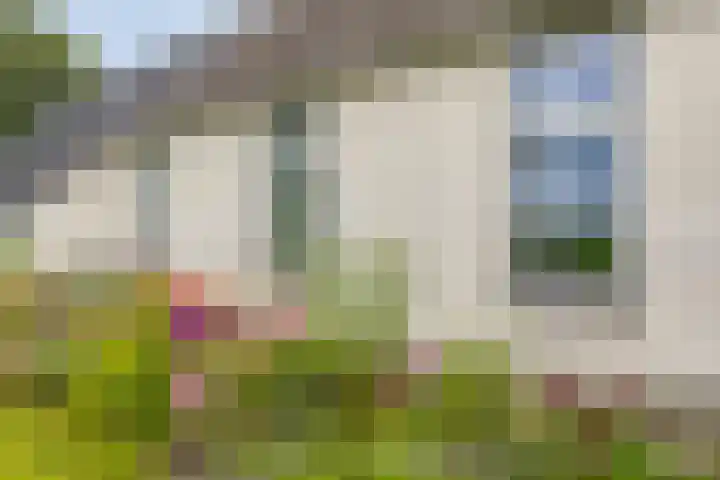 Bleuminkmaatweg 3 Vorden thumbnail 31