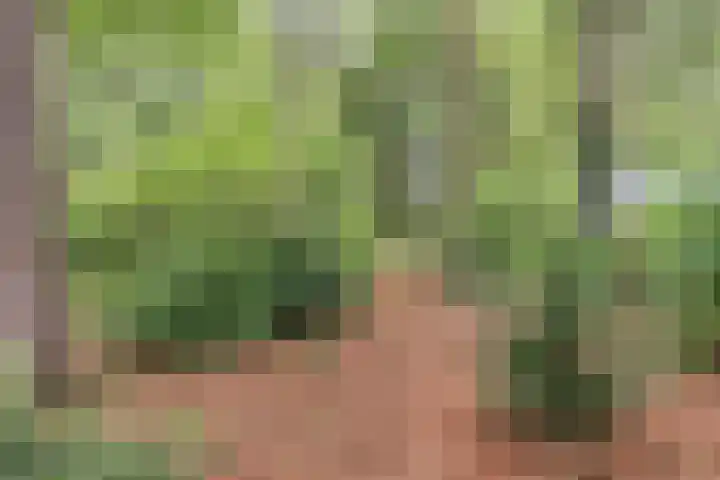 Bleuminkmaatweg 3 Vorden thumbnail 32
