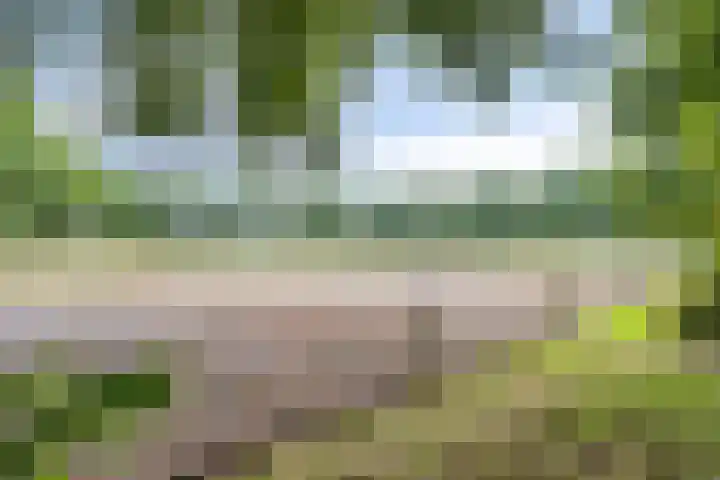 Bleuminkmaatweg 3 Vorden thumbnail 33