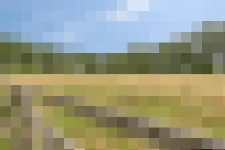 Bleuminkmaatweg 3 Vorden thumbnail 34