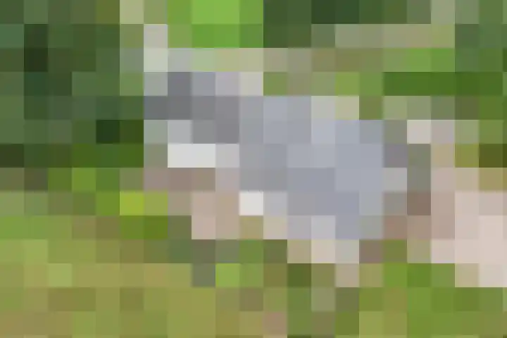 Bleuminkmaatweg 3 Vorden thumbnail 35