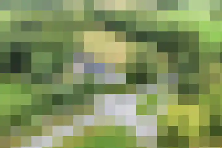 Bleuminkmaatweg 3 Vorden thumbnail 36